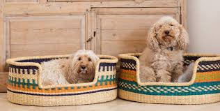 Dog Baskets